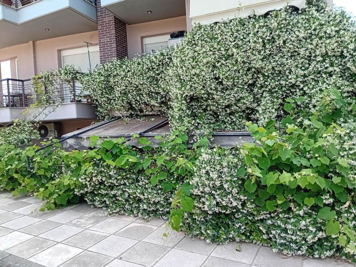 Stella'S Jasmine Διαμέρισμα Θεσσαλονίκη Εξωτερικό φωτογραφία